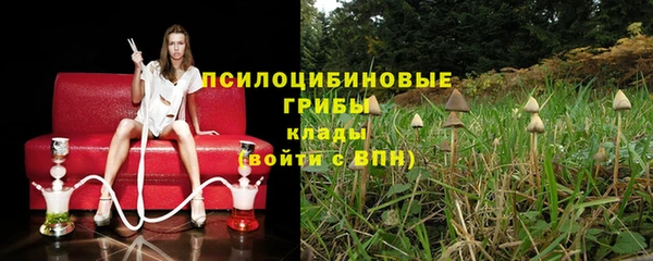 первитин Алексеевка
