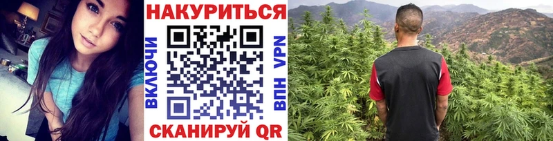 Канабис конопля  Купить где  Новотитаровская 